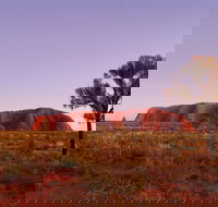 Sunrise Viewing Area Talinguru Nyakunytjaku - Kalgoorlie Accommodation