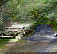 The Pioneer Valley and Eungella National Park - Kalgoorlie Accommodation