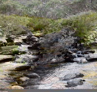 Thredbo River Track - Kalgoorlie Accommodation