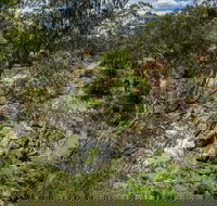 Yarrambat Park - Kalgoorlie Accommodation