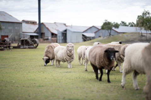 14 Day Gems Of The Outback - Kalgoorlie Accommodation 2