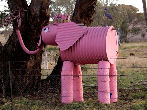 Animals On Bikes - Kalgoorlie Accommodation 0