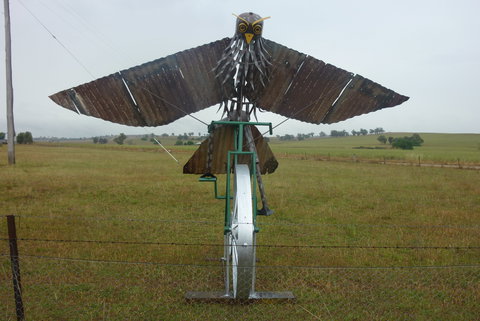 Animals On Bikes - Kalgoorlie Accommodation 2