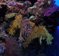 Around The Bend Dive Site - Kalgoorlie Accommodation