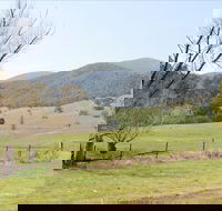 Banimboola Creek Rest Area - Kalgoorlie Accommodation
