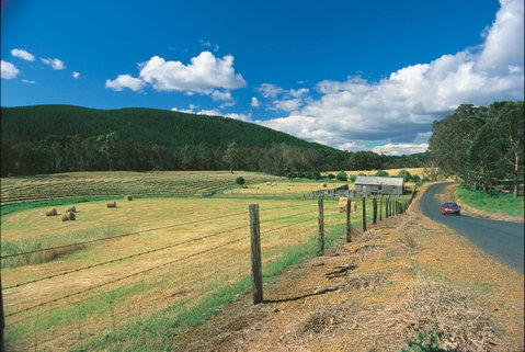 Blackwood River Tourist Drive - Kalgoorlie Accommodation 0