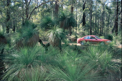 Blackwood River Tourist Drive - Kalgoorlie Accommodation 2