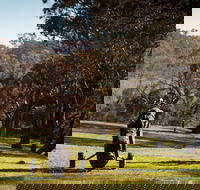 Blayney Golf Club - Kalgoorlie Accommodation