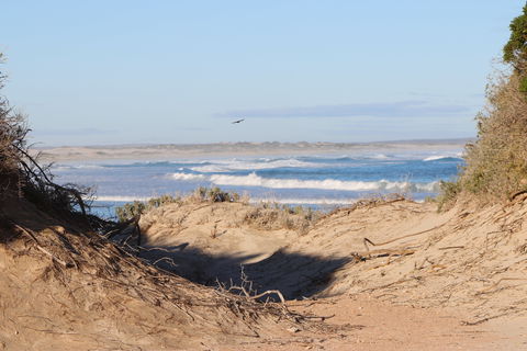 Chadinga Conservation Park - Kalgoorlie Accommodation 1
