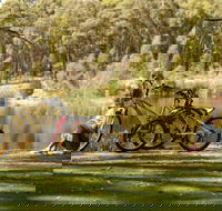 Creswick Regional Park - Kalgoorlie Accommodation