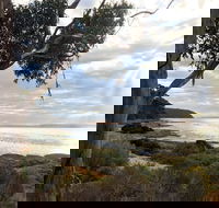 Fish Cannery Walking Trail - Kalgoorlie Accommodation