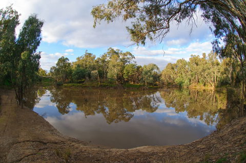 Gemmill Swamp Wildlife Reserve - Kalgoorlie Accommodation 1