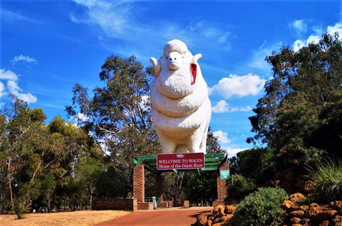 Giant Ram Park - Kalgoorlie Accommodation 0