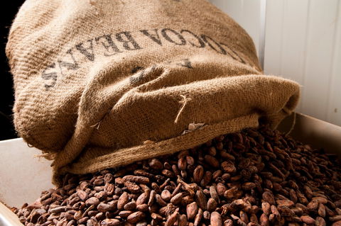 Haigh's Chocolates Visitor Centre - Kalgoorlie Accommodation 2
