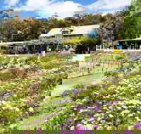 Kate's Berry Farm - Kalgoorlie Accommodation