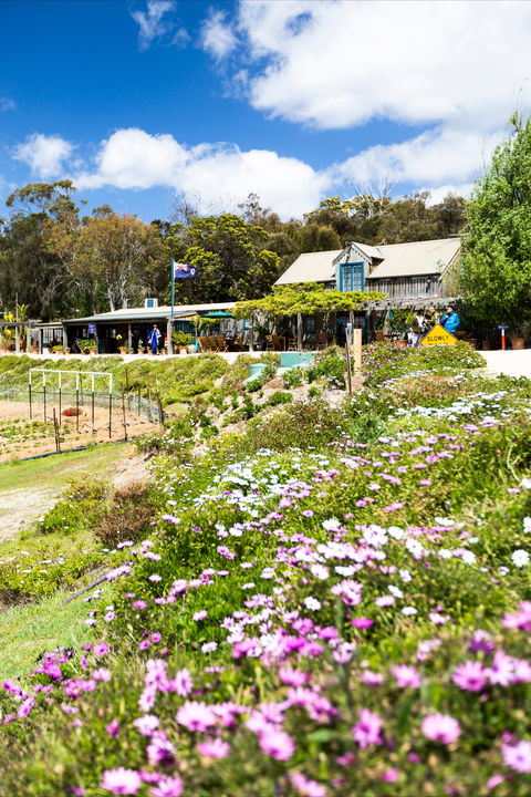 Kate's Berry Farm - Kalgoorlie Accommodation 0