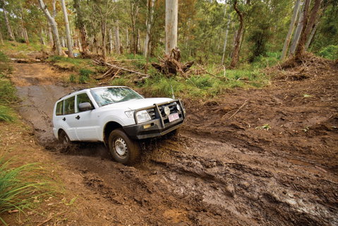 Kroombit Tops National Park - Kalgoorlie Accommodation 1