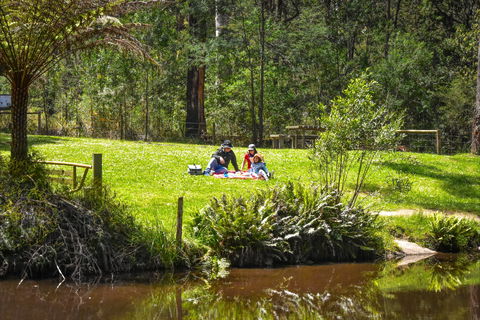 Kurth Kiln Regional Park - Kalgoorlie Accommodation 1