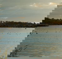 Lake Inverell Reserve - Kalgoorlie Accommodation
