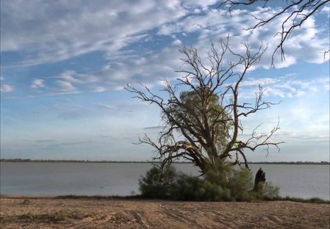 Lake Benanee - Kalgoorlie Accommodation 0
