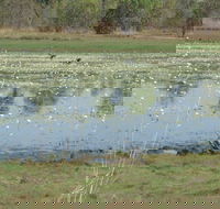 Leaning Tree Lagoon Nature Park - Kalgoorlie Accommodation