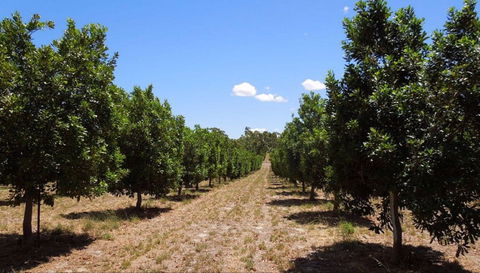 MacNuts WA Shop And Factory - Kalgoorlie Accommodation 0