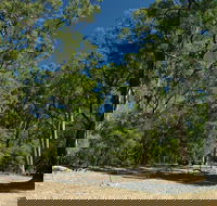 Maidens Tuart Forest - Kalgoorlie Accommodation