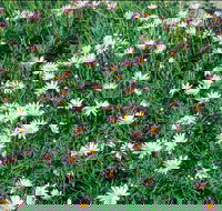 Milton - Kalgoorlie Accommodation