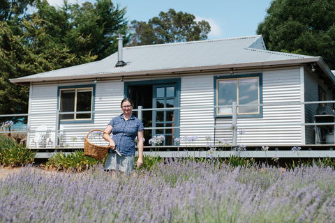 Nannup Lavender Farm - Kalgoorlie Accommodation 1