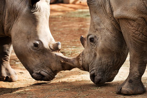 National Zoo & Aquarium - Kalgoorlie Accommodation 0