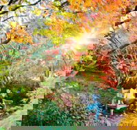 The Blue Mountains Botanic Garden Mount Tomah - Kalgoorlie Accommodation