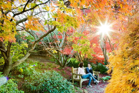The Blue Mountains Botanic Garden, Mount Tomah - Kalgoorlie Accommodation 0