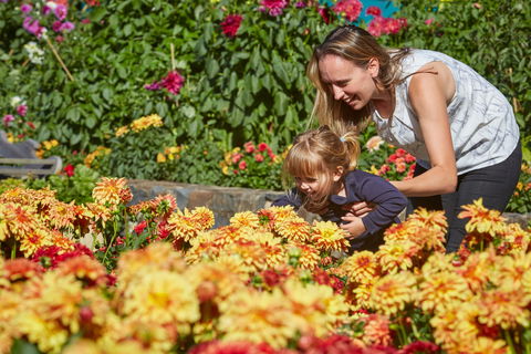 The Blue Mountains Botanic Garden, Mount Tomah - Kalgoorlie Accommodation 1