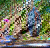 Wagirra Trail and Yindyamarra Sculpture Walk - Kalgoorlie Accommodation