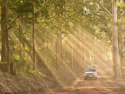 Walpole - Kalgoorlie Accommodation 1