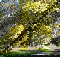 Wattle Park - Kalgoorlie Accommodation