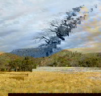 Weddin Mountains National Park - Kalgoorlie Accommodation