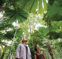 Wet Tropics Rainforest - Kalgoorlie Accommodation