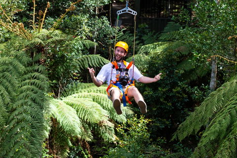 Zipline At Illawarra Fly - Kalgoorlie Accommodation 2