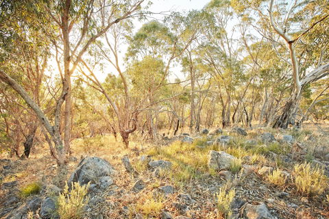 Alpine Views Walk - Kalgoorlie Accommodation 0