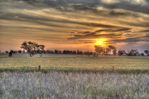 Ardlethan - Kalgoorlie Accommodation 2