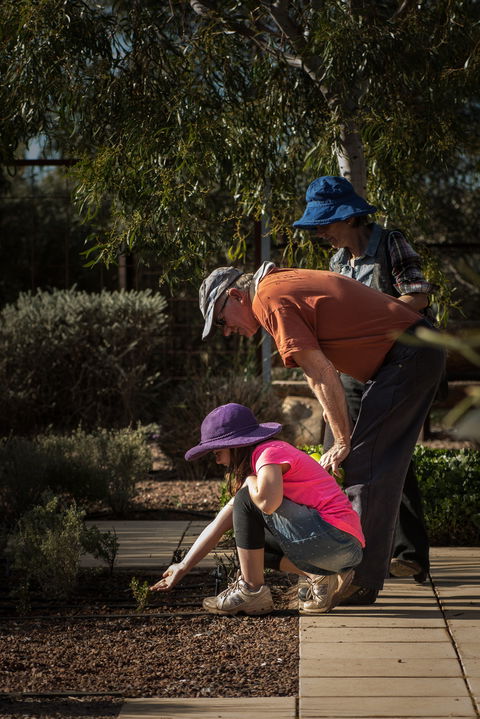 Australian Arid Lands Botanic Garden - Kalgoorlie Accommodation 1
