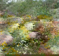 Ben Hall's Cave Walking Track - Kalgoorlie Accommodation