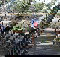 Bidgee Riverside Trail  - Hay Nature Walk - Kalgoorlie Accommodation