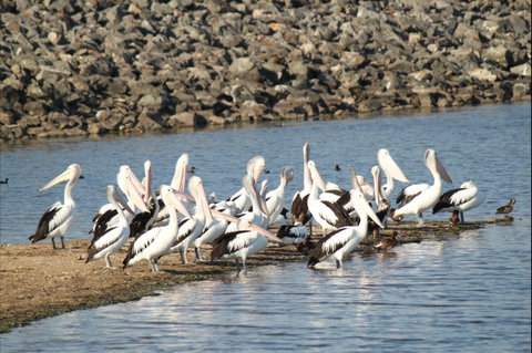 Bjelke-Petersen Dam - Kalgoorlie Accommodation 2