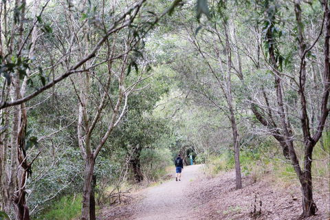D'Aguilar National Park - Kalgoorlie Accommodation 2