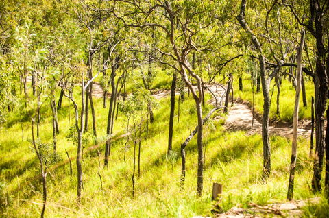 Davies Creek Mountain Bike Park - Kalgoorlie Accommodation 0