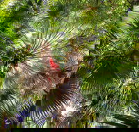 Depot Beach Rainforest Walk - Kalgoorlie Accommodation