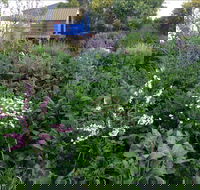 Down to Earth Permaculture - Kalgoorlie Accommodation