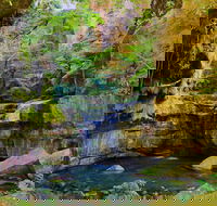 Glimpse of the Outback 5 Day Tour - Roma and Surrounds - Kalgoorlie Accommodation